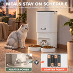 White 7L automatic cat feeder with two stainless bowls and bottom power bay