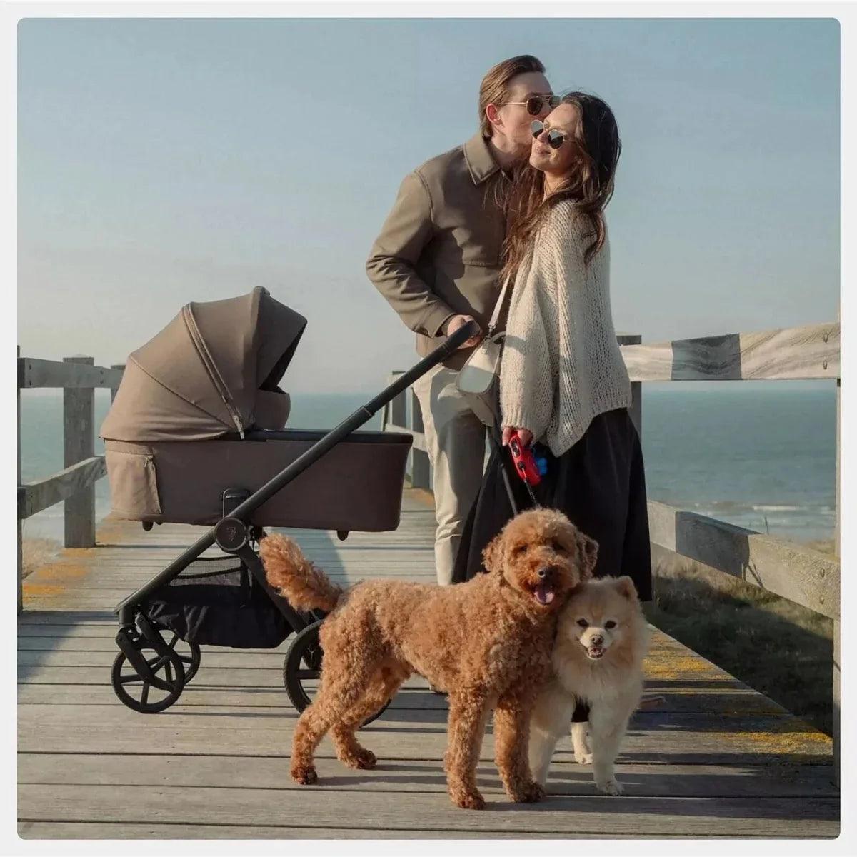 Onyx 2-in-1 stroller with bassinet and seat, standing on wheels