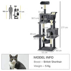 Cat tree size diagram in dark grey, showing 177 cm height and platform levels