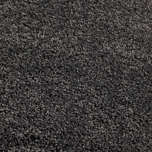 Washable-Charcoal-1 - Bobobiy