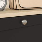 Black shoe cabinet drawer front with round brushed metal pull knob