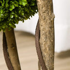 Artificial boxwood topiary tree trunk close-up with textured bark and green ball foliage