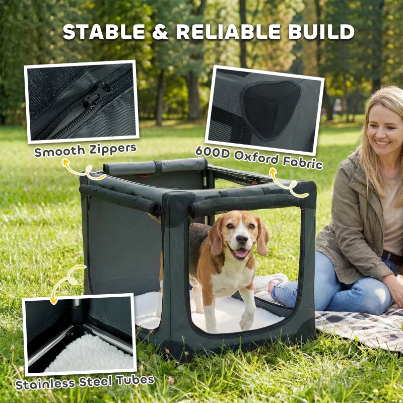 Soft-sided pet travel crate with steel tube frame and mesh panel windows