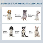 Compatibility chart showing medium-sized dog breeds for raised feeding station