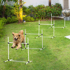White adjustable dog agility jump hurdle in use with dog training on outdoor grass