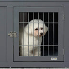 Grey dog crate door with wire bars and safety latch, small dog behind the gate