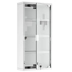 Wall-mounted stainless medicine cabinet with frosted glass lockable door and keys