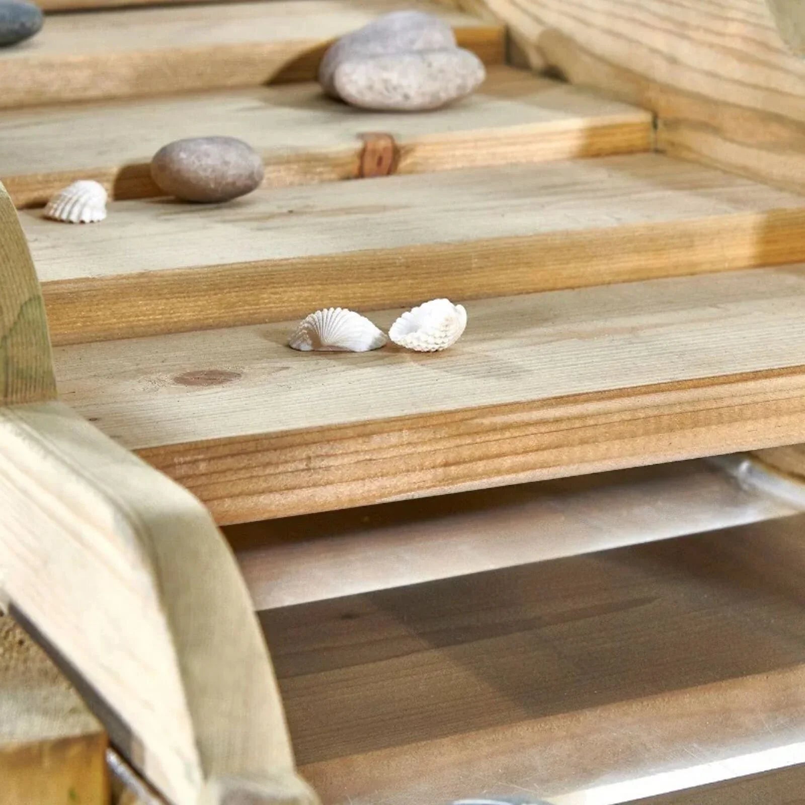 Plum Discovery Forest Water Run