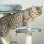 Grey tabby cat on a plush perch of a grey cat tree with sisal-wrapped post