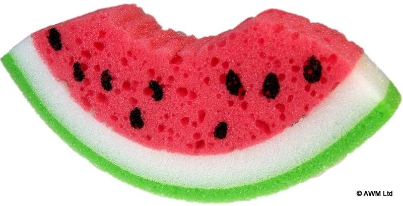 Melon Slice Sponge