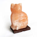 Translucent peach salt cat lamp sculpture on dark base