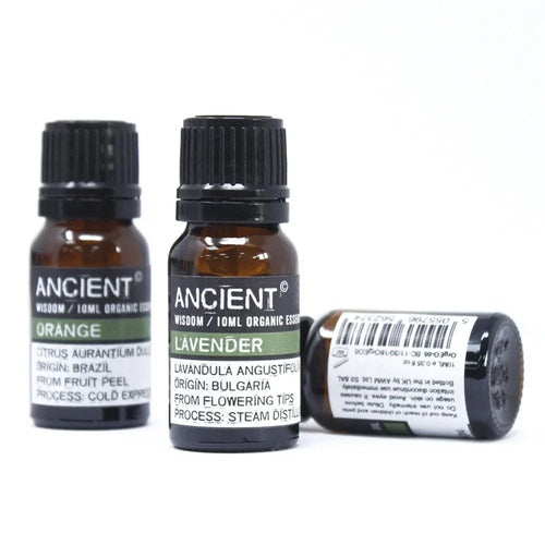 Grapefruit Organic Essential Oil 10ml - Bobobiy