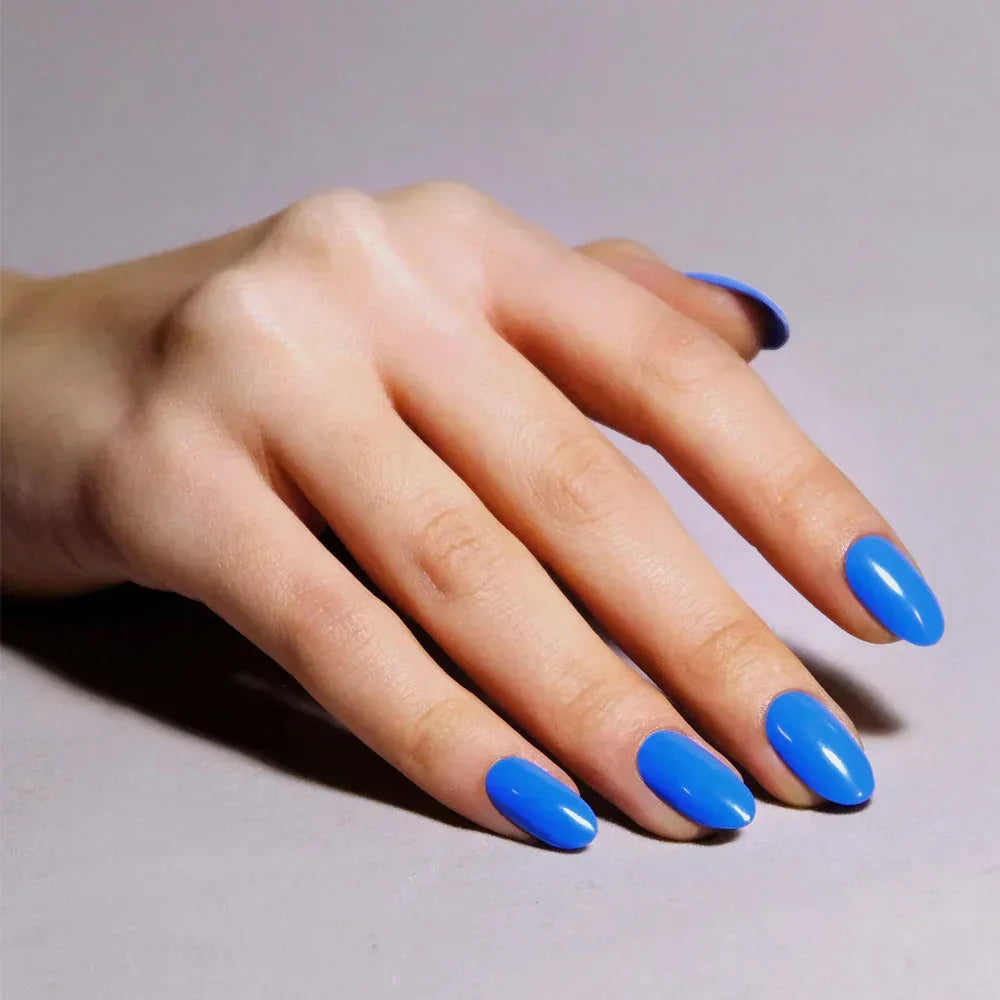blue1 - Bobobiy