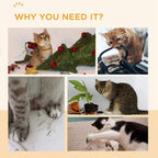 Cat near textured scratching surfaces in a collage layout