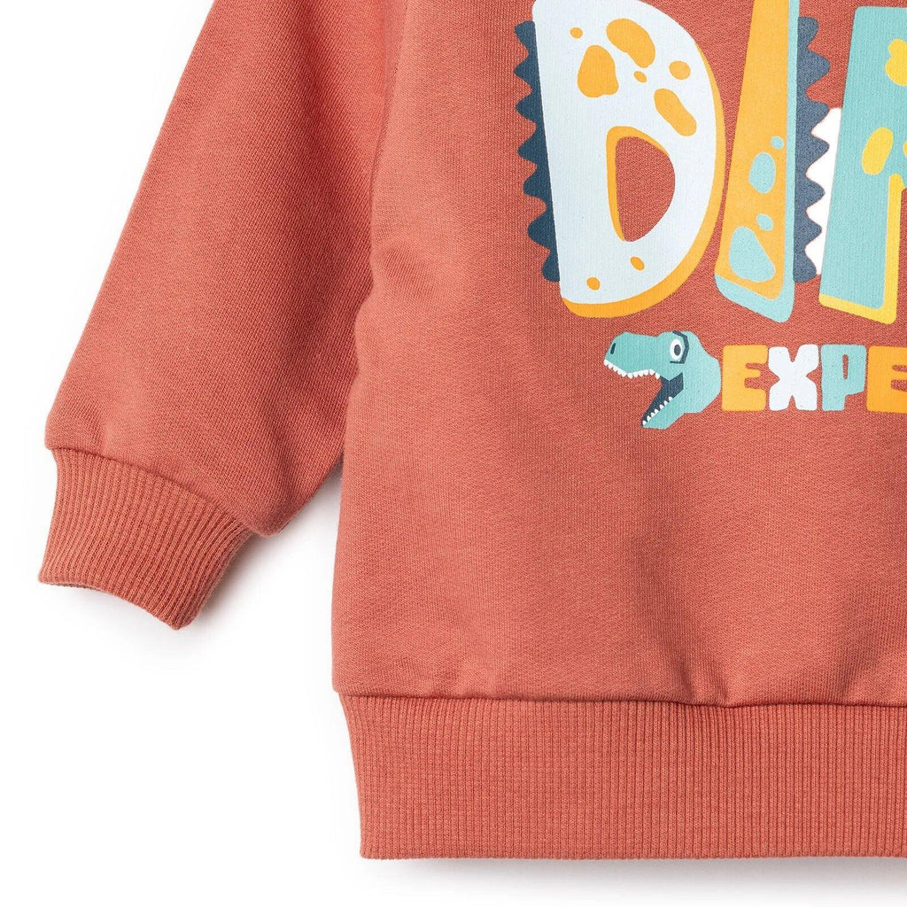 HelloBaby Jogging Set - Brown - Bobobiy