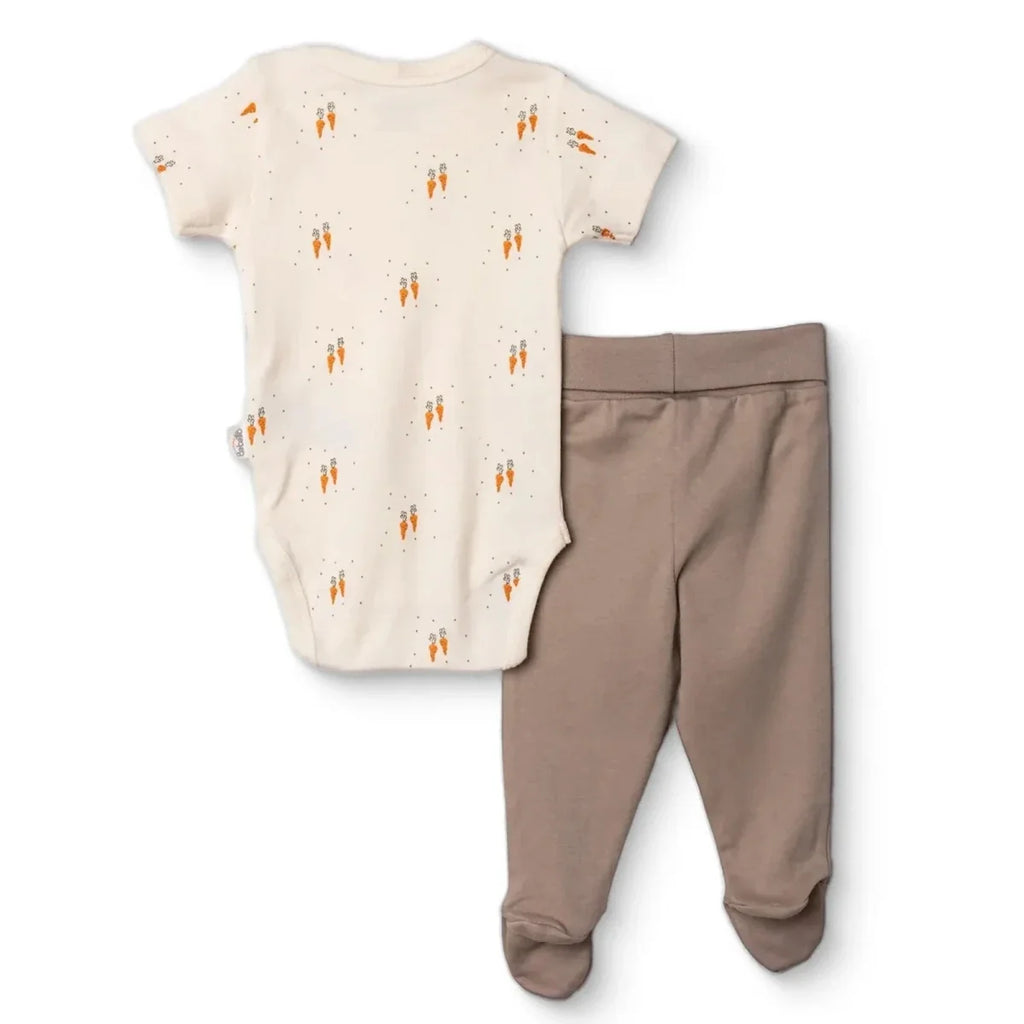 Boys cream bodysuit and taupe footed pants set with allover carrot animal print