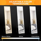 LED mirror with adjustable color temperature, black frame and bright illuminated border