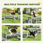 Grey wooden dog agility bridge and steps with supporting side frames