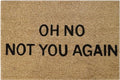 Doormat 60cm x 40cm - 'Oh No! Not You Again'