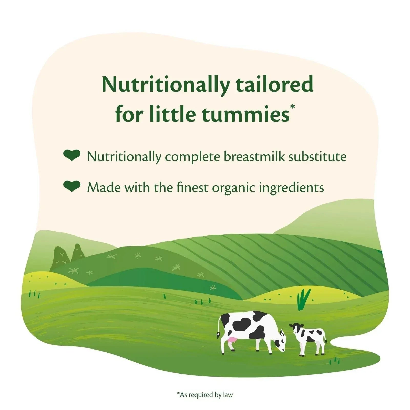 HiPP Organic 1 First Infant Baby Milk Formula from Birth 800g - Bobobiy