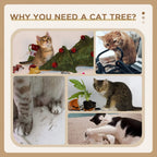 Cat tree for indoor use with plush lounging areas and multiple scratching surfaces