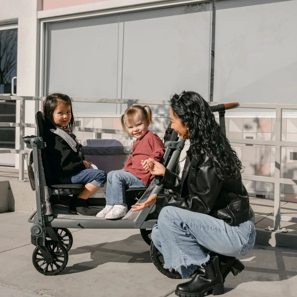 Grey stroller wagon with canopy and two seats; children seated with safety harness