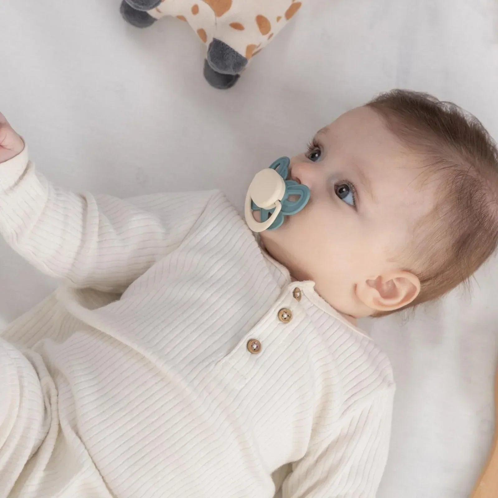e9b3a221de00af58c8ccfb863f1d0aa8 - Bobobiy