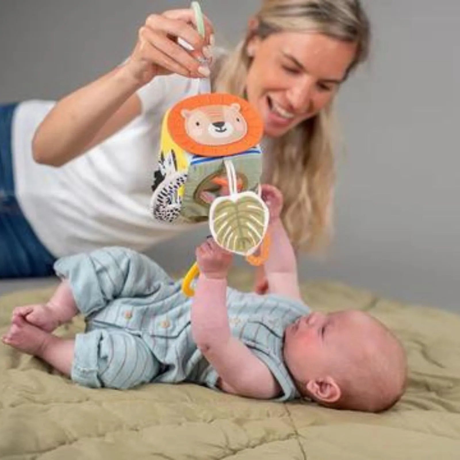 Taf Toys Savannah Discovery Cube