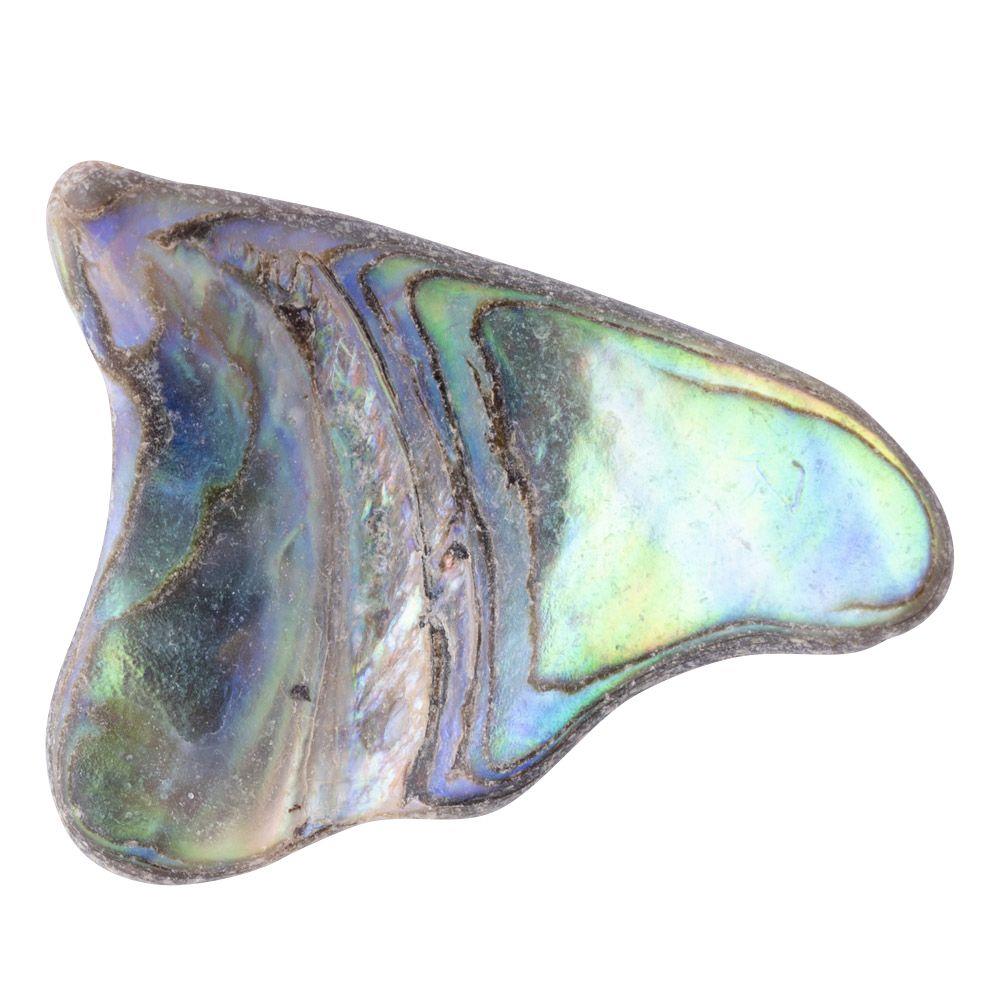 Abalone Shell Tumbled, Unsized, (sold singly)