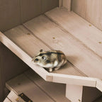 Hamster inside natural wood 3-tier cage on a ramp over a lower tray