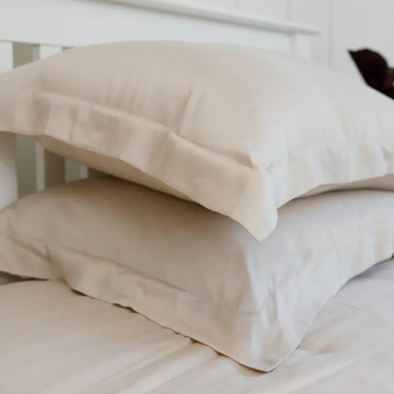 ethical-bedding-silk-bed-sheets-pillowcases-170_ac8d8ab0-c16b-41cf-bc60-683e73ee9f4d - Bobobiy