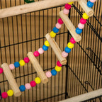 Hanging bird cage toy with wooden perches and colorful bead string