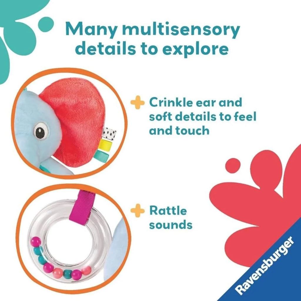 Play+ Play & Explore Elephant