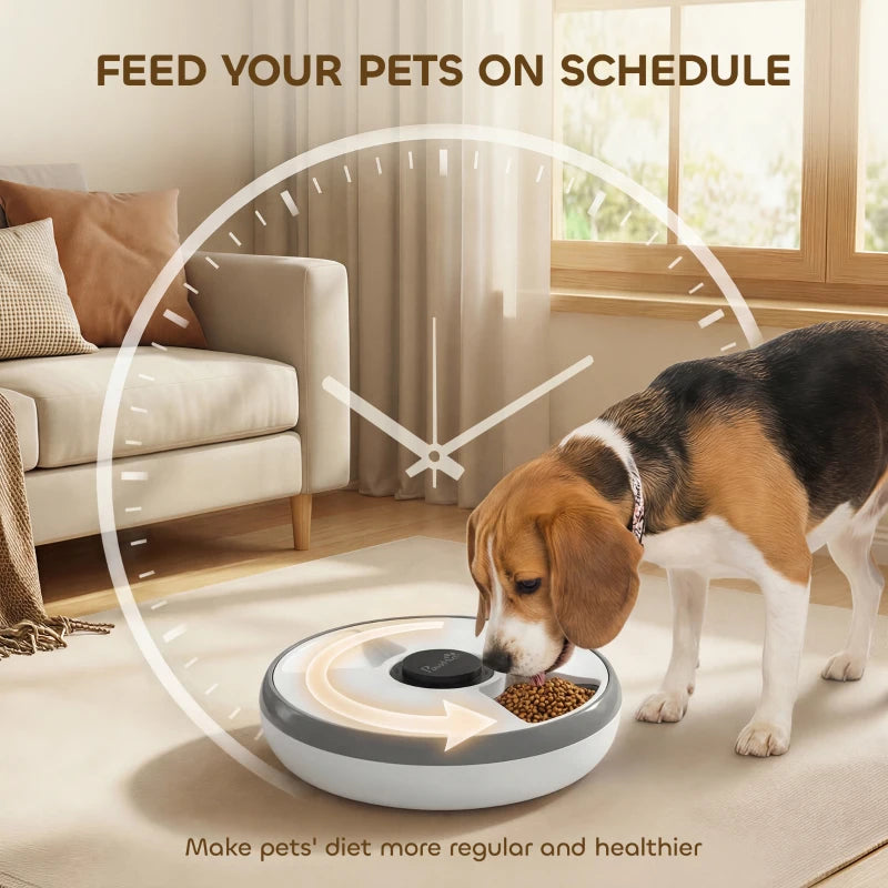 Automatic cat feeder dispensing dry kibble for scheduled feeding