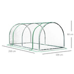 Tunnel greenhouse with green steel frame and clear PVC cover, with size dimensions