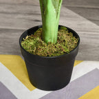 Black pot filled with artificial moss and green monstera stems