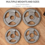 Assorted cast iron weight plates with stamped weights, silver finish, multiple sizes