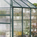 Clear twin-wall polycarbonate wall panels in a greenhouse with vertical and horizontal framing