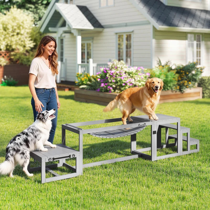 Grey wooden dog agility bridge and pet stairs with a dog standing on platform