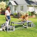 Grey wooden dog agility bridge and pet stairs with a dog standing on platform