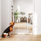White dog safety gate across a doorway with a dog waiting behind the bars