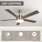 Silver ceiling fan with LED light and 5 beech wood-effect blades