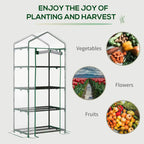 Green mini greenhouse with clear cover and four-tier shelves for planting