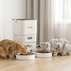 White automatic cat feeder with dual stainless bowls feeding a tabby and gray cat
