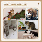 Beige cat tree tower benefits graphic with multi-pet lifestyle photos