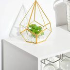 White cabinet top shelf with gold geometric glass holder and greenery arrangement