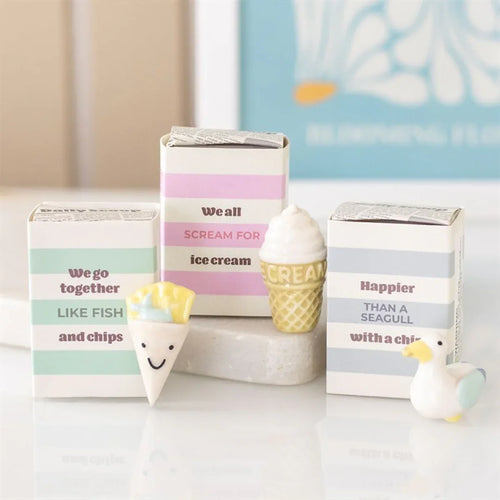 Set of 24 Seagull and Ice Cream Token Gifts in Display - Bobobiy