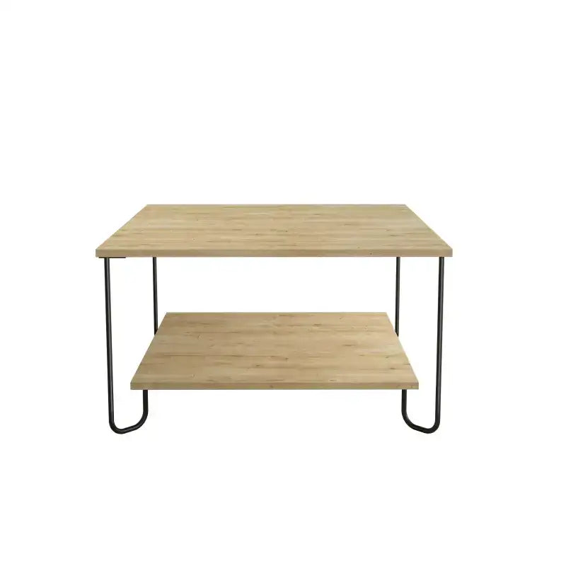 Modern two-tier coffee table with light oak wood top and lower shelf, black metal frame