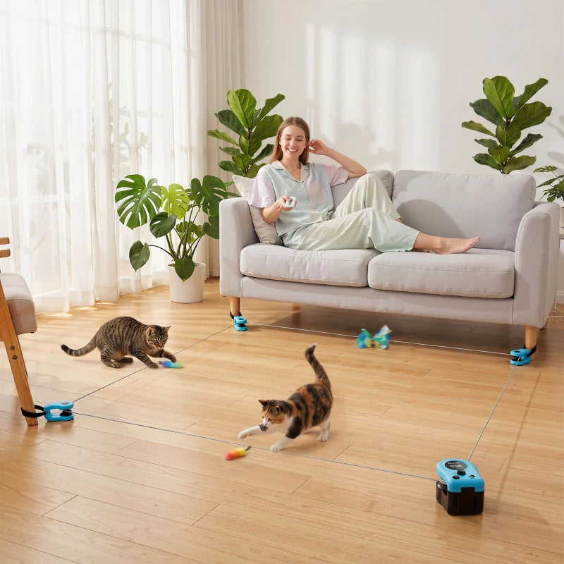 Blue interactive cat toy with chase track and two kittens playing in living room