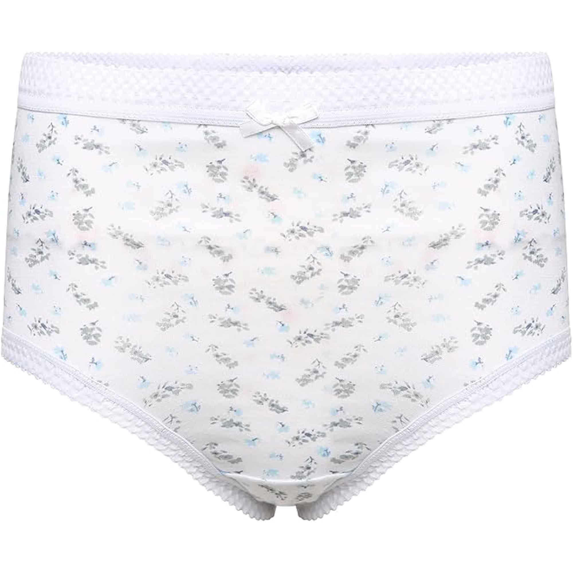 pack-of-6-women-s-100-cotton-super-soft-maxi-briefs-full-coverage-breathable-everyday-underwear-assorted-colors-regular-plus-sizes-by-sock-stack-underwear-1184863575 - Bobobiy